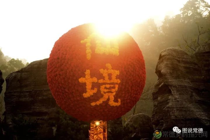 10年前我们一起走过的桃花源(图5) 图片