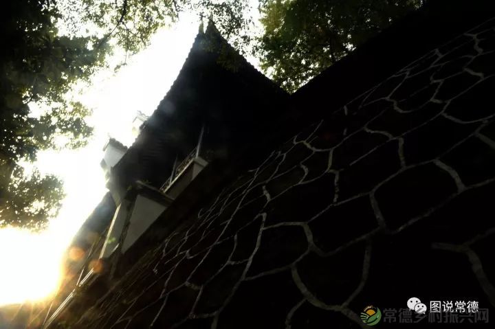 10年前我们一起走过的桃花源(图18) 图片