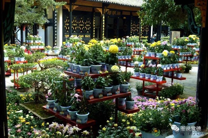 10年前我们一起走过的桃花源(图21) 图片