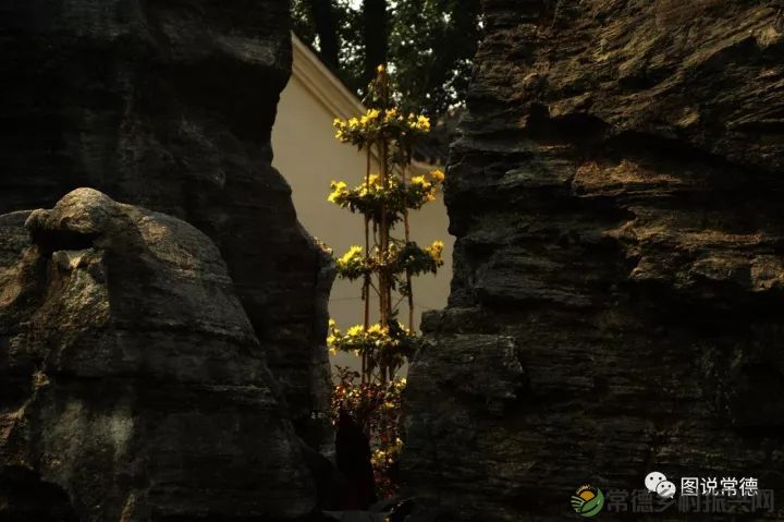 10年前我们一起走过的桃花源(图28) 图片