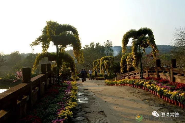 10年前我们一起走过的桃花源(图25) 图片