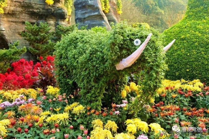 10年前我们一起走过的桃花源(图26) 图片