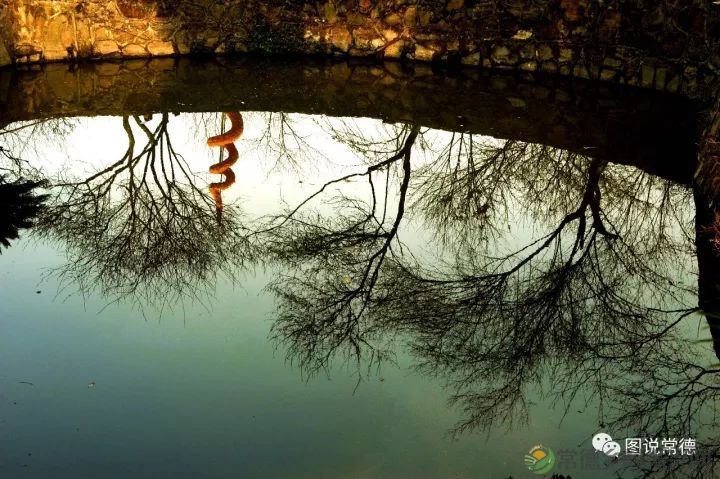 10年前我们一起走过的桃花源(图32) 图片