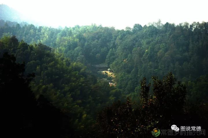 10年前我们一起走过的桃花源(图31) 图片