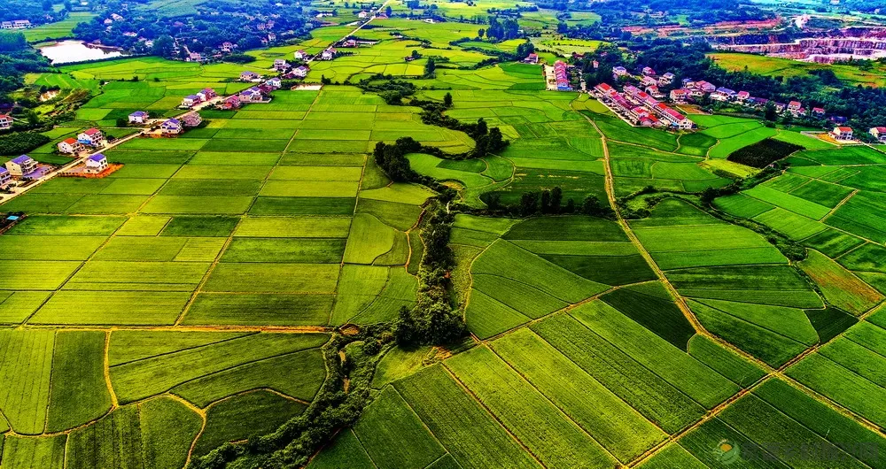 树高千尺不忘根 邻里和谐家兴旺——临澧修梅三房组清明活动纪实(图3) 图片