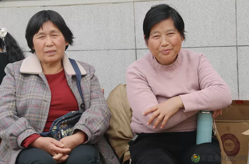 树高千尺不忘根 邻里和谐家兴旺——临澧修梅三房组清明活动纪实(图9) 图片