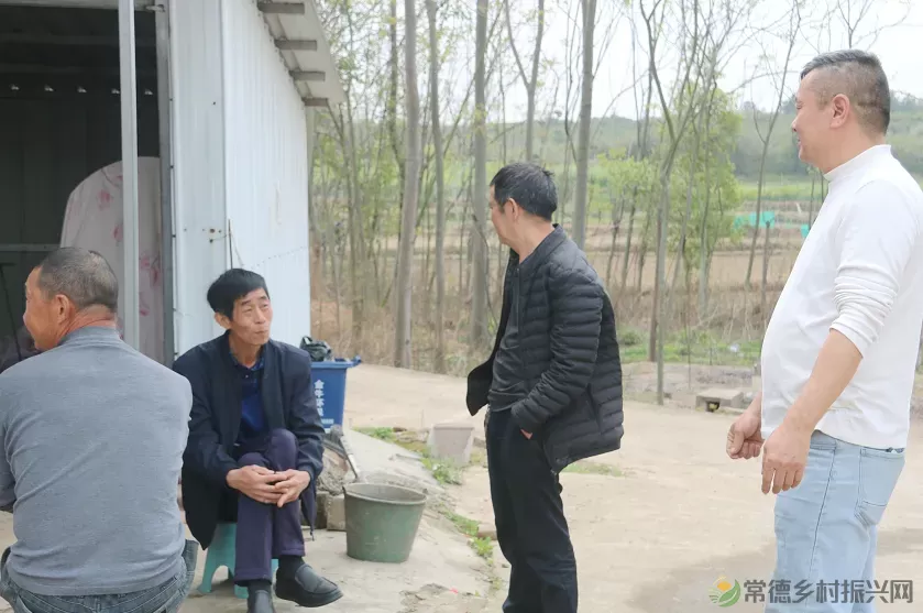 树高千尺不忘根 邻里和谐家兴旺——临澧修梅三房组清明活动纪实(图11) 图片