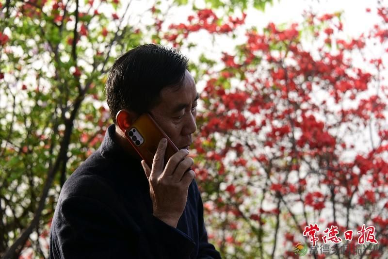 澧县一退休老人开山四年 凿出一条赏花路(图2)