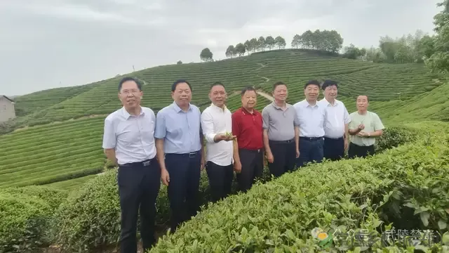 武陵区社会禁毒协会参加环洞庭湖部分县区(市)禁毒协会第七次工作经验交流会(图7) 武陵区社会禁毒协会参加环洞庭湖部分县区(市)禁毒协会第七次工作经验交流会(图7)