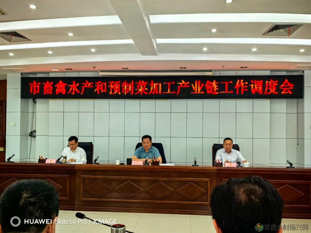 全市召开畜禽水产和预制菜加工产业链工作调度会(图1) 图片