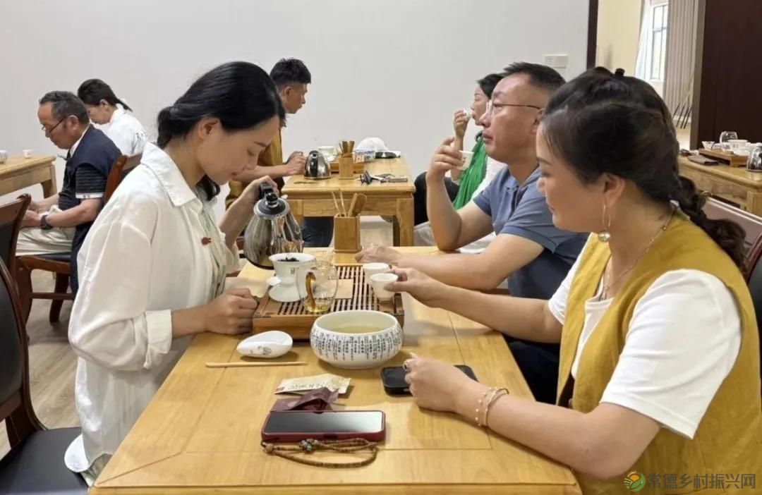 常德市茶文化促进会2025茶企对接活动走进桃源君和茶业(图14)
