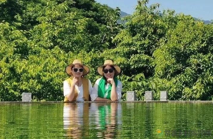 常德市茶文化促进会2025茶企对接活动走进桃源君和茶业(图17)