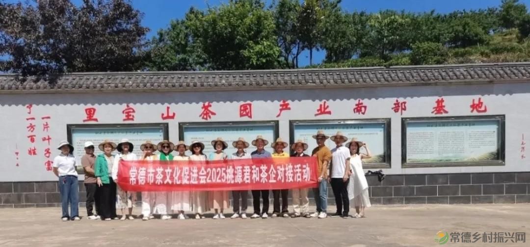 常德市茶文化促进会2025茶企对接活动走进桃源君和茶业(图24)