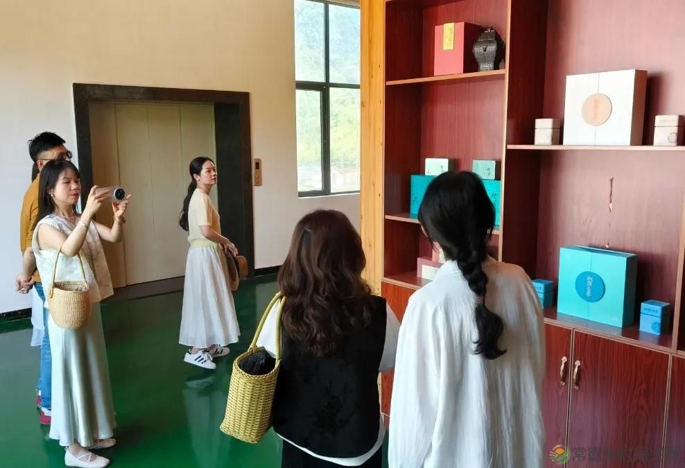 常德市茶文化促进会2025茶企对接活动走进桃源君和茶业(图26)