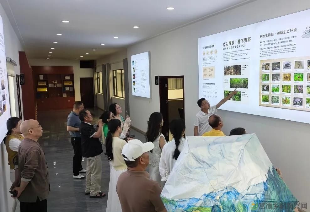 常德市茶文化促进会2025茶企对接活动走进桃源君和茶业(图27)