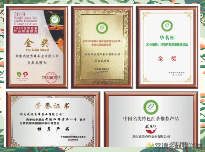 湖南红茶中的佼佼者——武陵红:茶韵天香引领行业新风尚(图4) 湖南红茶中的佼佼者——武陵红:茶韵天香引领行业新风尚(图4)