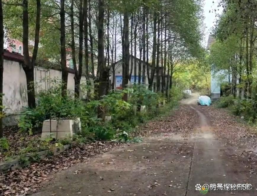 图说昔日的湖南汉寿,照片中有你熟悉的地方吗?(图9) 图说昔日的湖南汉寿,照片中有你熟悉的地方吗?(图9)