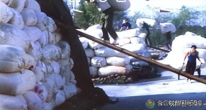 图说昔日的湖南汉寿,照片中有你熟悉的地方吗?(图23) 图说昔日的湖南汉寿,照片中有你熟悉的地方吗?(图23)