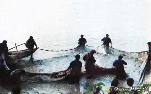 图说昔日的湖南汉寿,照片中有你熟悉的地方吗?(图45) 图说昔日的湖南汉寿,照片中有你熟悉的地方吗?(图45)