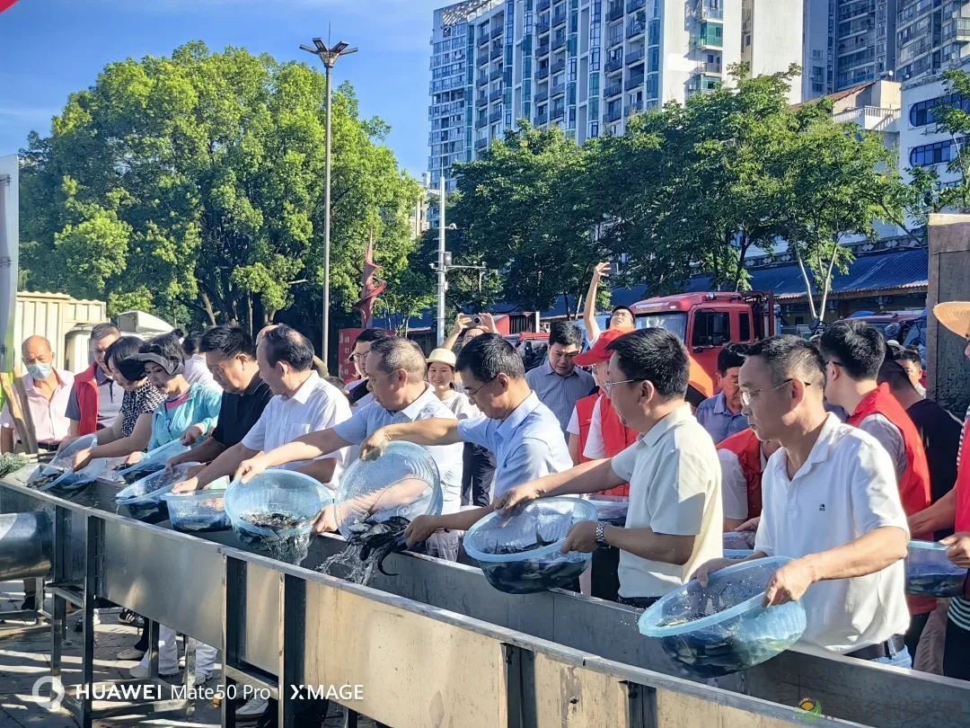常德市举办2025年鱼类人工增殖放流活动