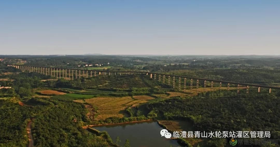 “影像记录青山渠，精神传承在临澧”短视频大赛获奖作品公告(图5)