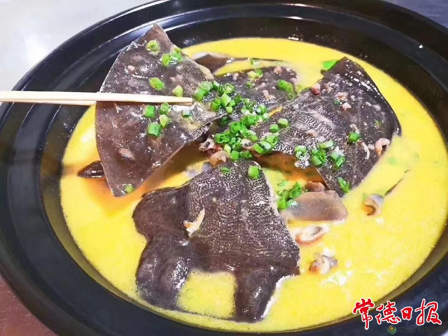 生态中华鳖 “爬”出致富路(图3)