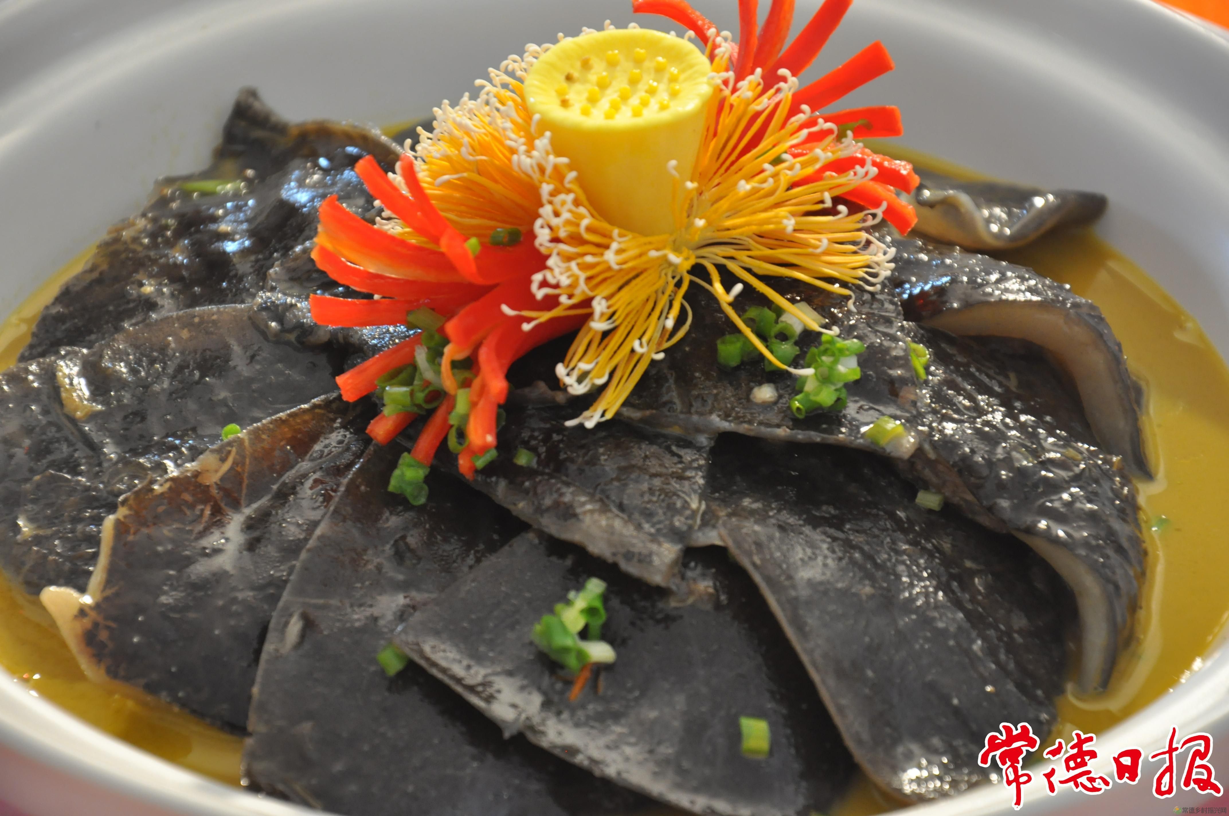 生态中华鳖 “爬”出致富路(图4)