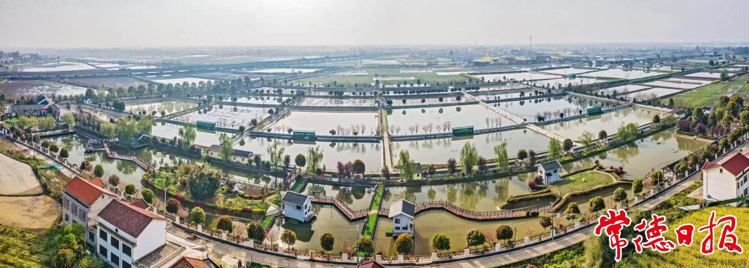 生态中华鳖 “爬”出致富路(图6)