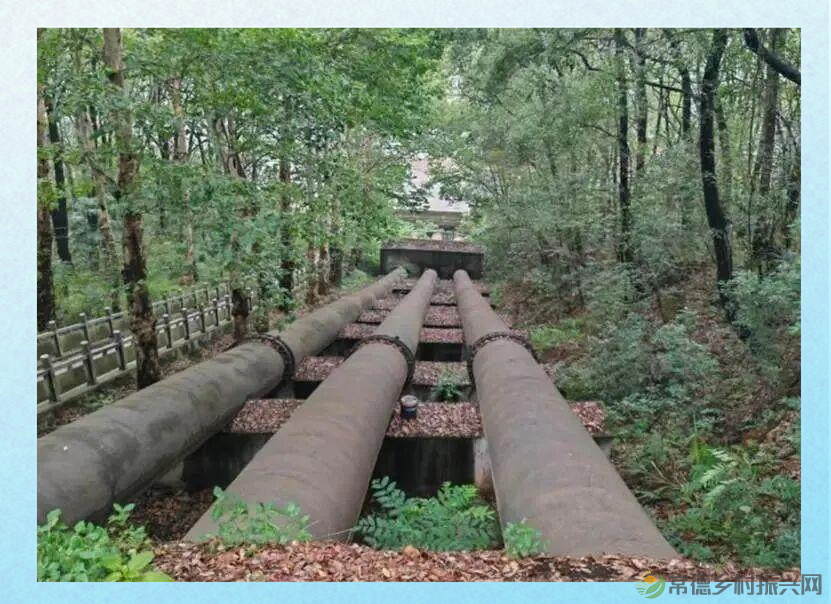 青山精神之旅：历史与传承的探寻(图2)