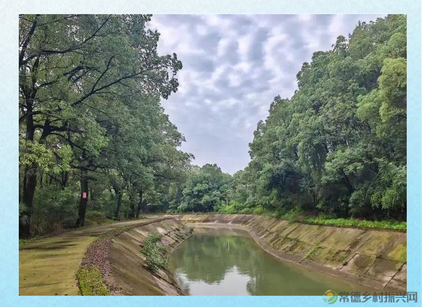 青山精神之旅：历史与传承的探寻(图3)