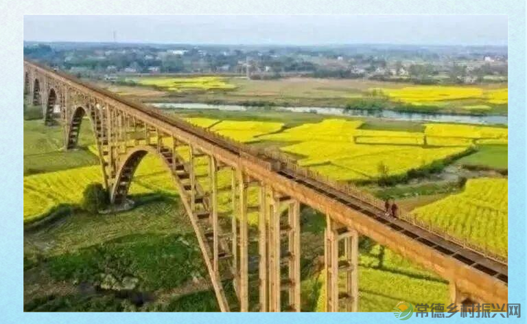 青山精神之旅：历史与传承的探寻(图5)