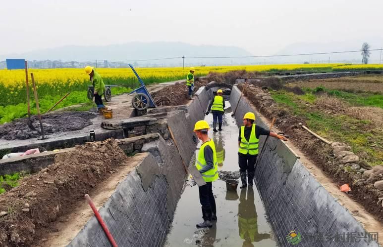 青山精神之旅：历史与传承的探寻(图6)