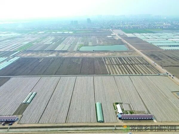 湖南日报推介 | 常德:筑牢“耕”基绘“丰”景(图3) 5