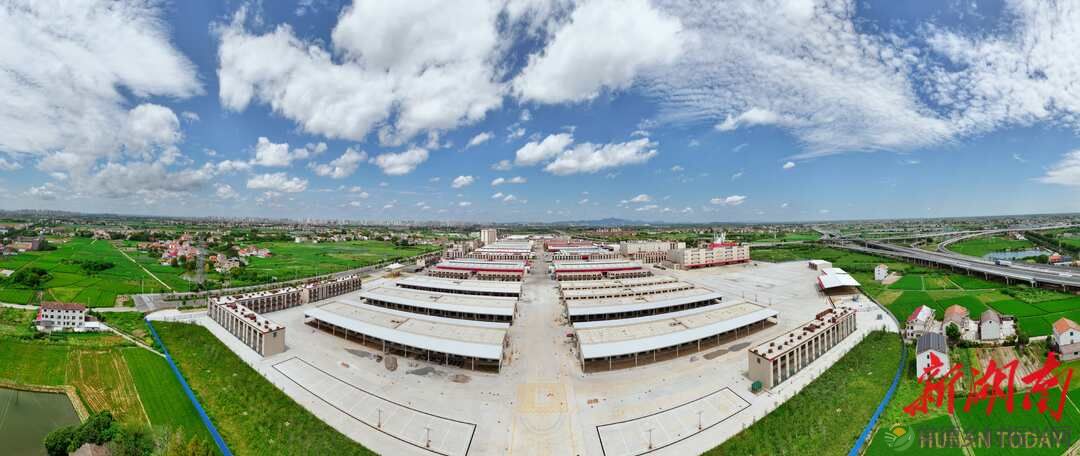 常德这一市场何以成为湖南最大鱼市？