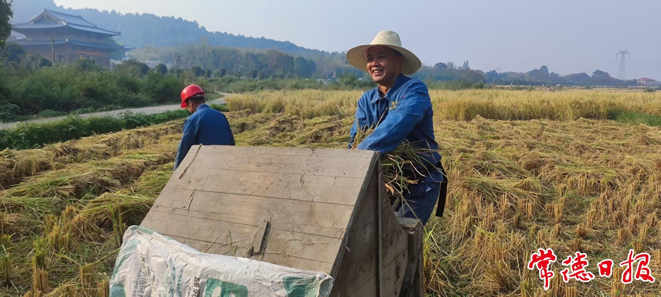 绿野寻梦新农人——记范国军的生态致富路(图4)