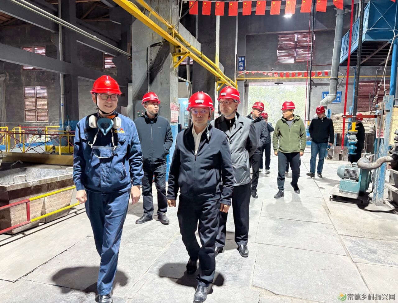 常德市自然资源和规划局赴湖南辰州矿业有限责任公司开展招商考察活动