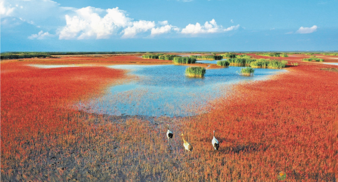 《旗帜》刊发自然资源部党组署名文章《自然资源部：推动自然资源安全高效永续利用》