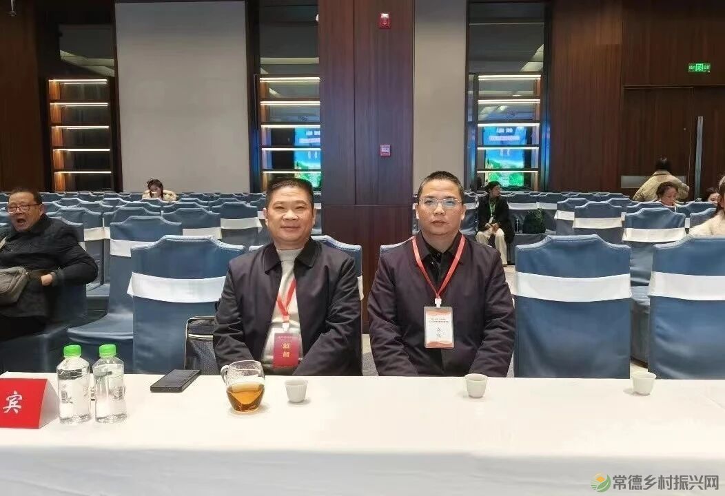 茶艺大赛|2025年常德市茶艺师职业技能竞赛圆满落幕(图9) 10.jpg