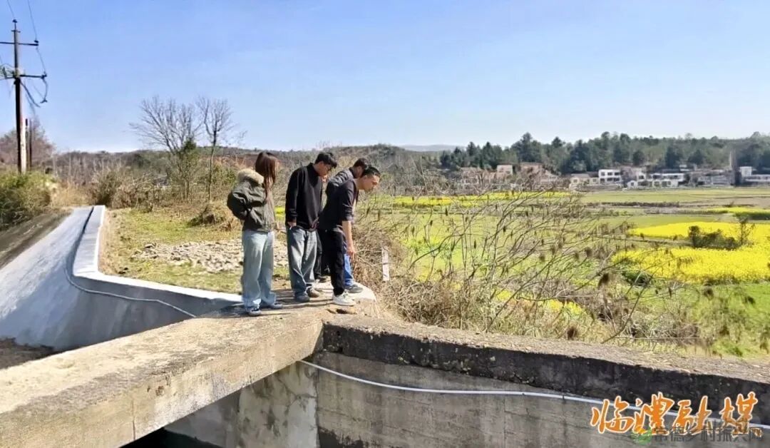 灌区4.jpg