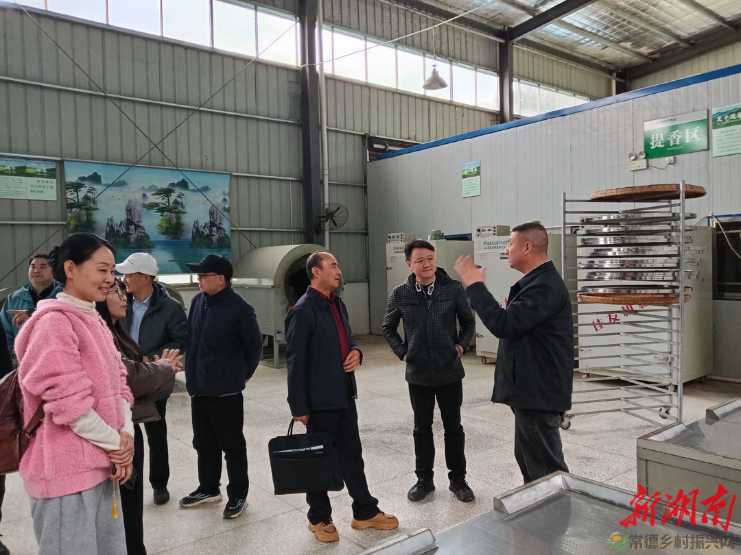常德市茶文化促进会开展石门成员单位茶企对接活动