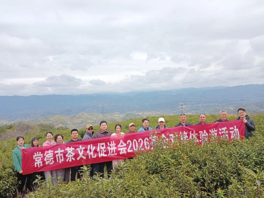 寻觅茶香｜常德市茶文化促进会开展石门成员单位天下康茶企对接活动