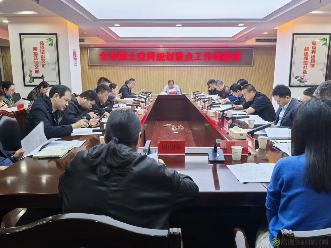 常德市自然资源和规划局调度国土空间规划重点工作