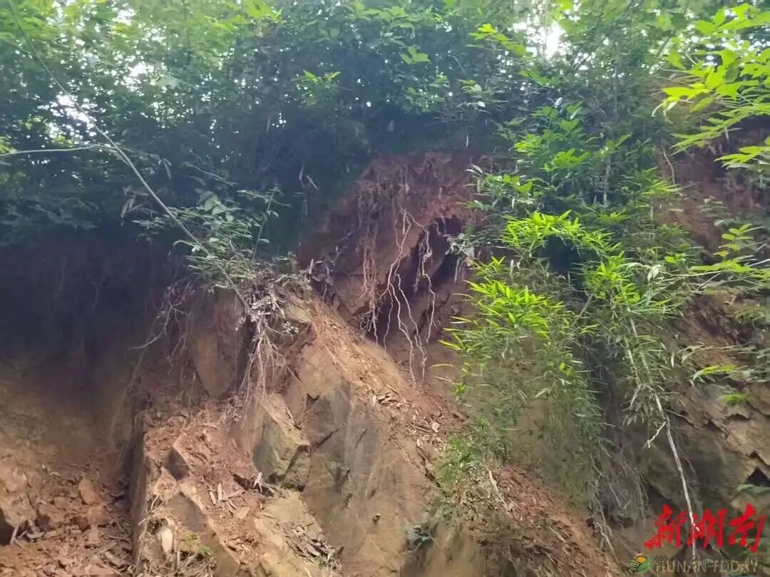 居民屋后山石崩落，柳叶湖迅速转移群众化险为夷