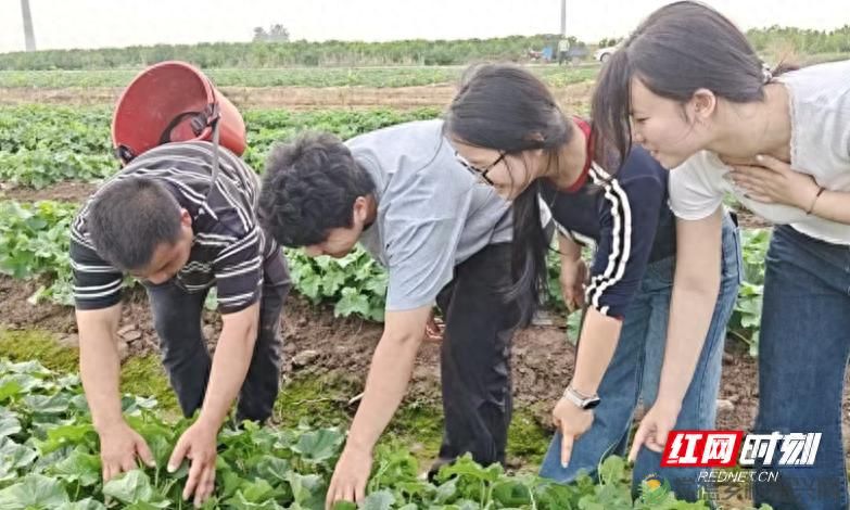 田间有“驿站”，云端有“青春” 鼎城区“青春E课堂”探索大学生就业助农新路径