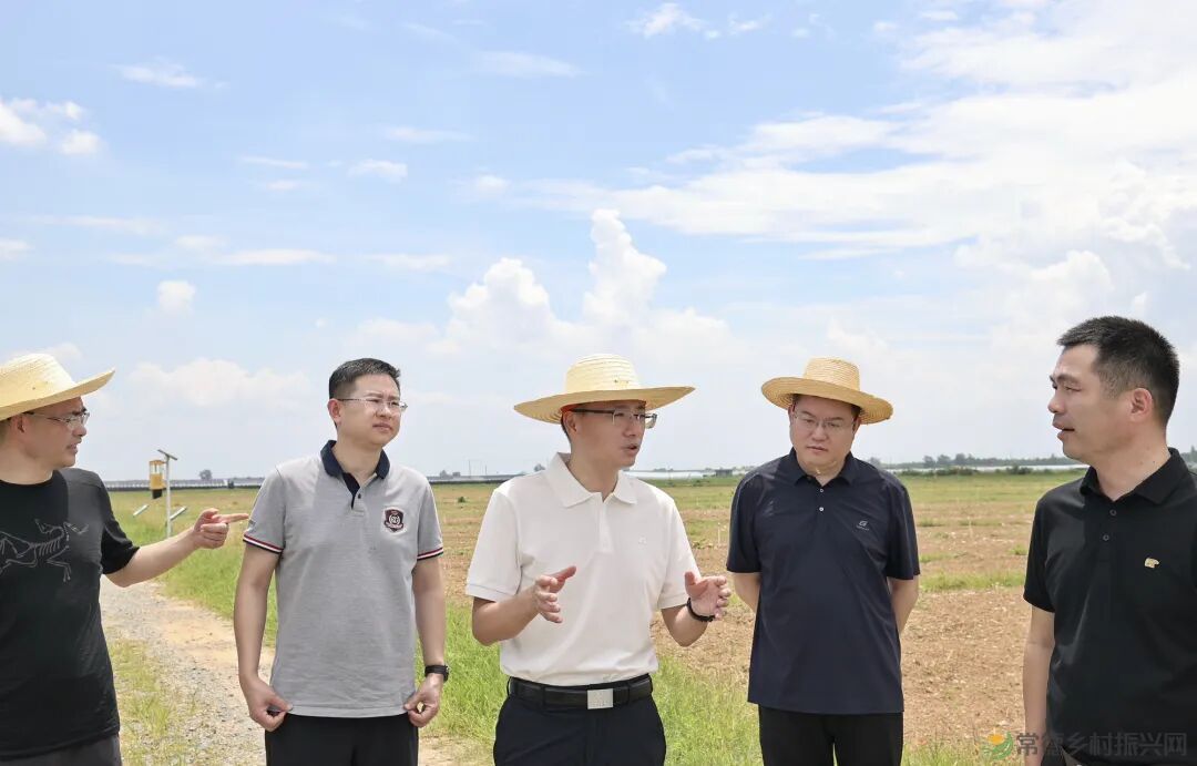 邱献兵调研构建汛旱并防与耕地置换协同推进机制改革工作