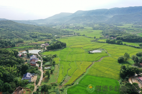 “从1到N”解锁王化村产业发展“密码”