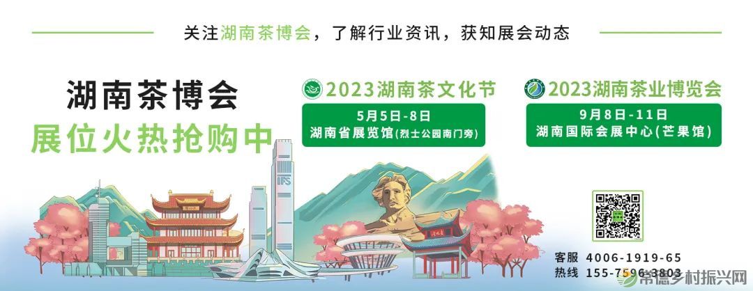 情人节，相逢在茶山，世事皆浪漫