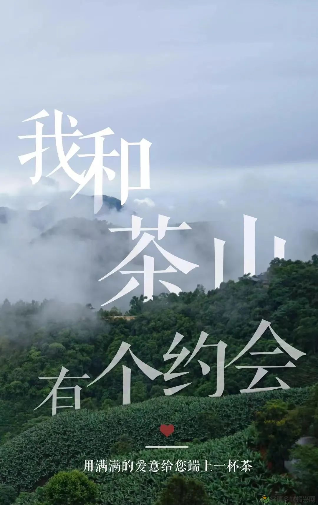 情人节,相逢在茶山,世事皆浪漫(图2) 微信图片_20230215185147.jpg