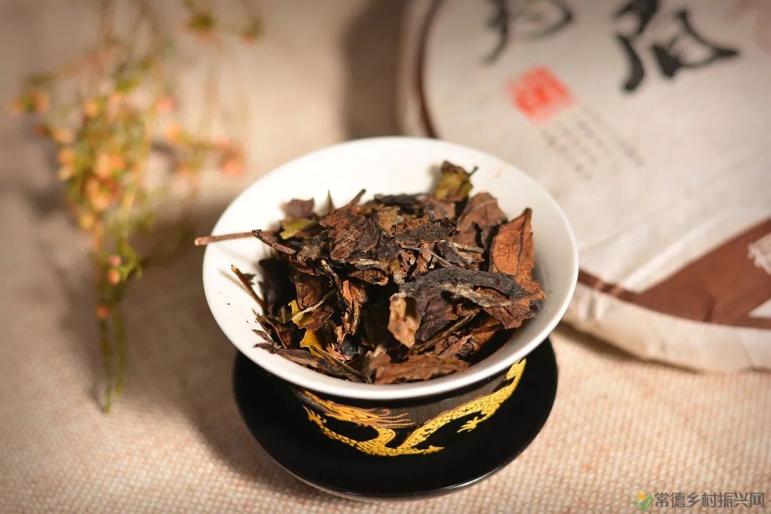 情人节,相逢在茶山,世事皆浪漫(图4) 微信图片_20230215185218.jpg