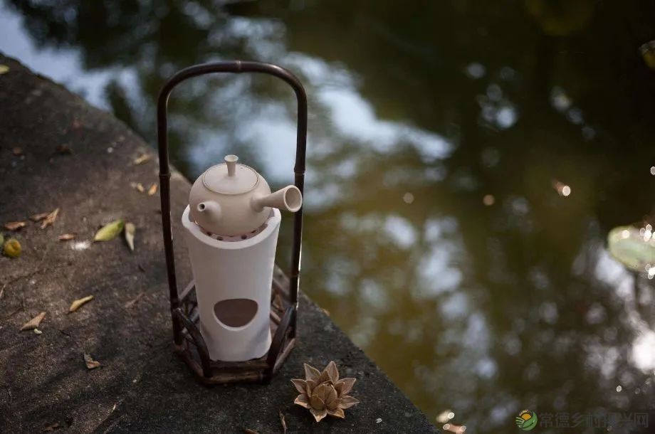 情人节,相逢在茶山,世事皆浪漫(图6) 微信图片_20230215185243.jpg